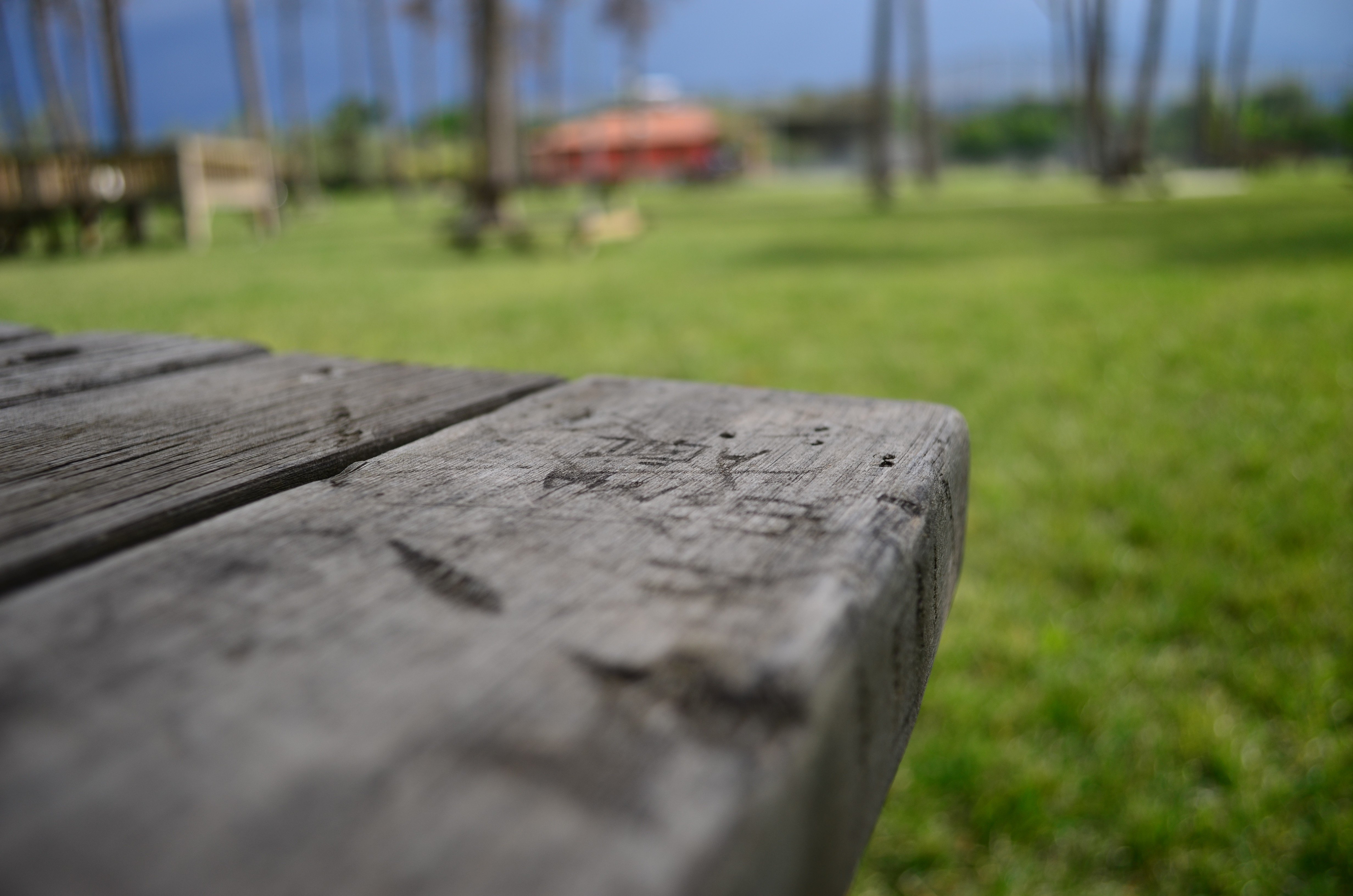 depth of field Wallpaper