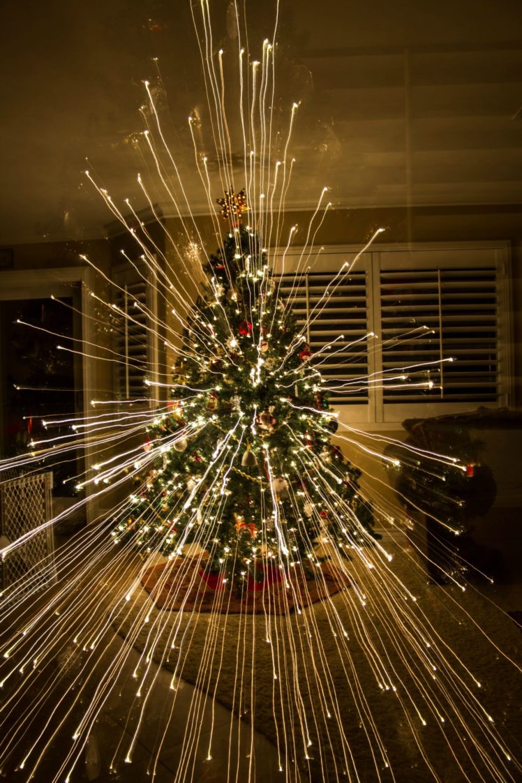 lights, Christmas Tree HD Wallpaper Desktop Background