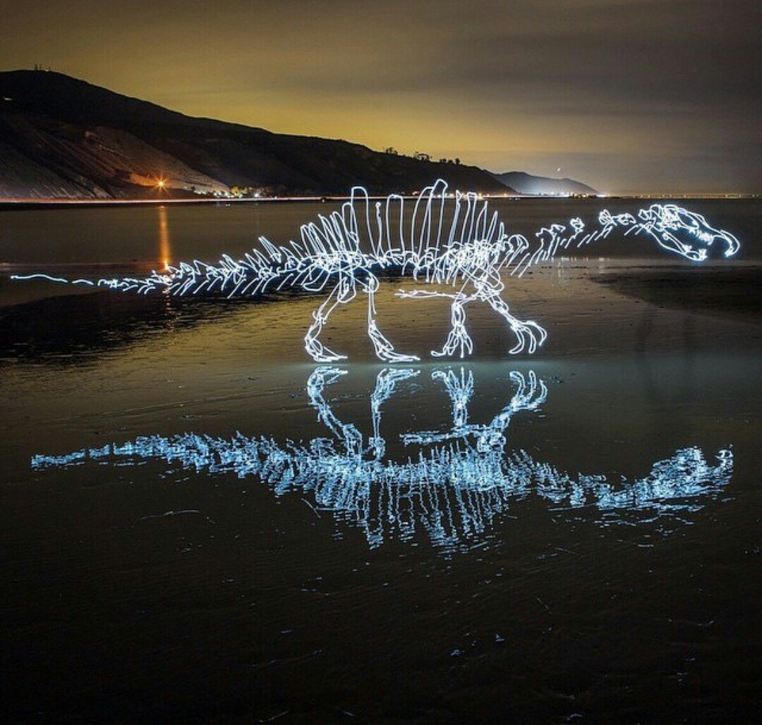 light painting, Dinosaurs, Water, Evening Wallpaper