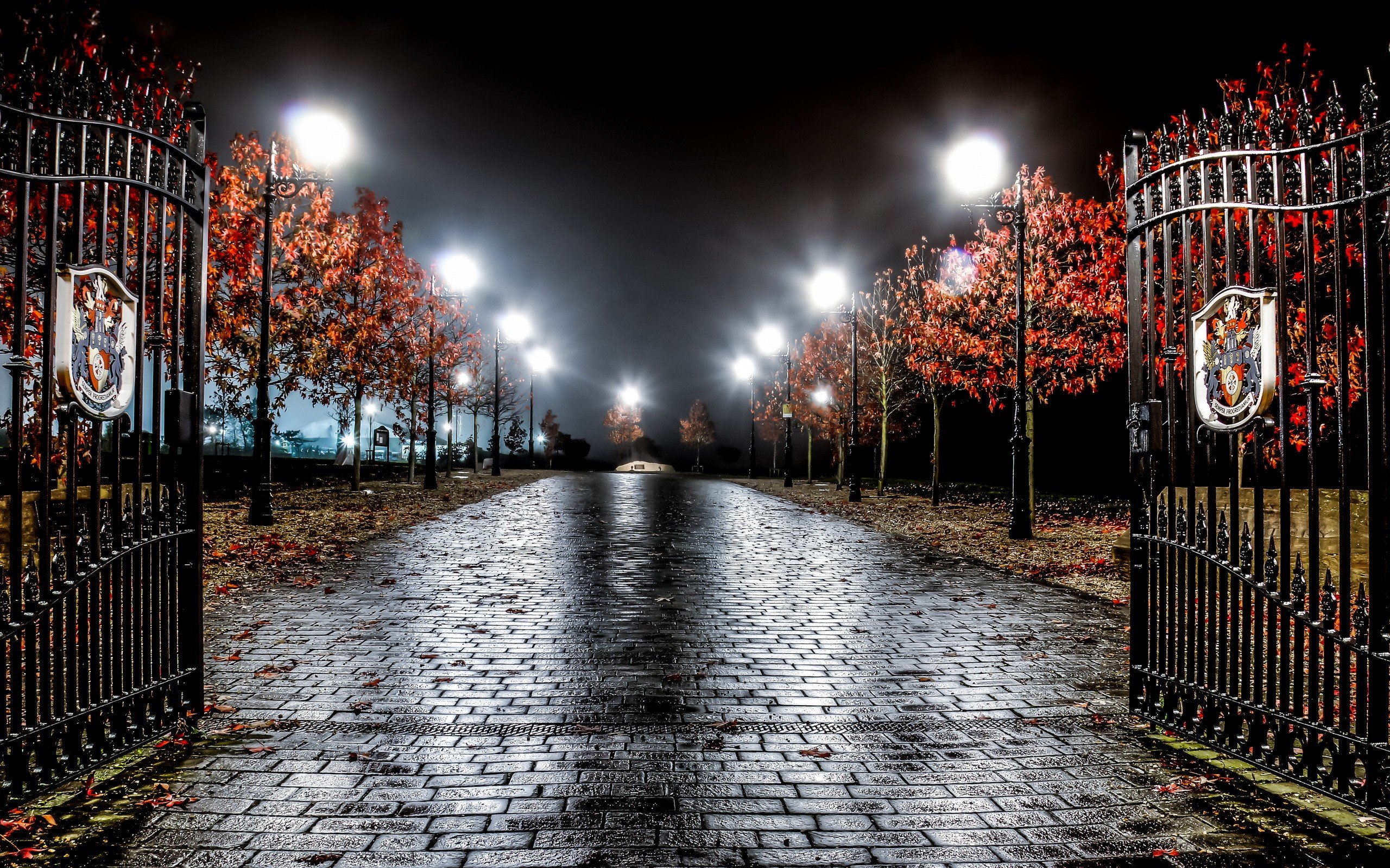gates, Trees, Leaves, Artificial lights, Road Wallpaper