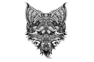 tribal, Fox