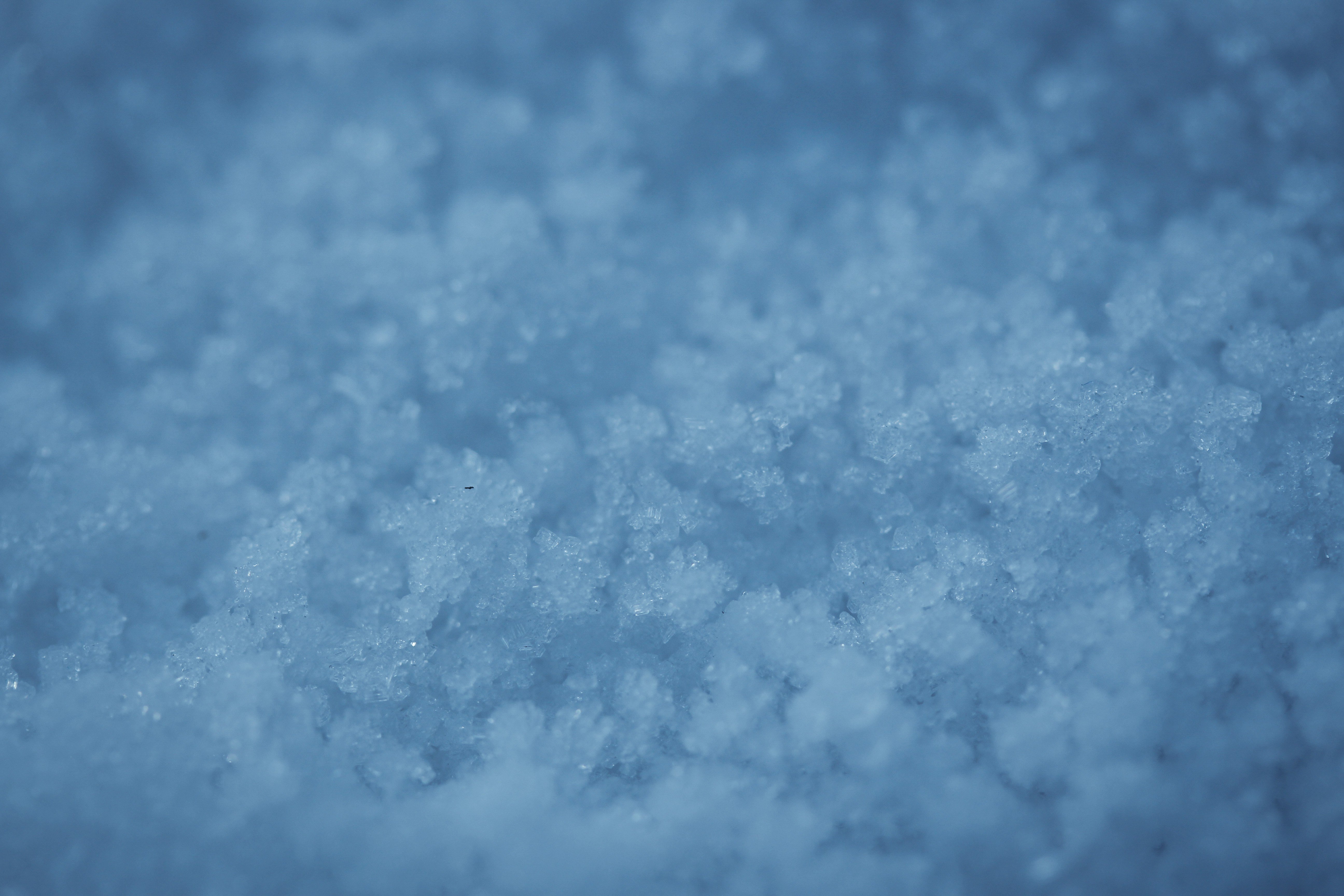 snow, Macro, Ice Wallpaper