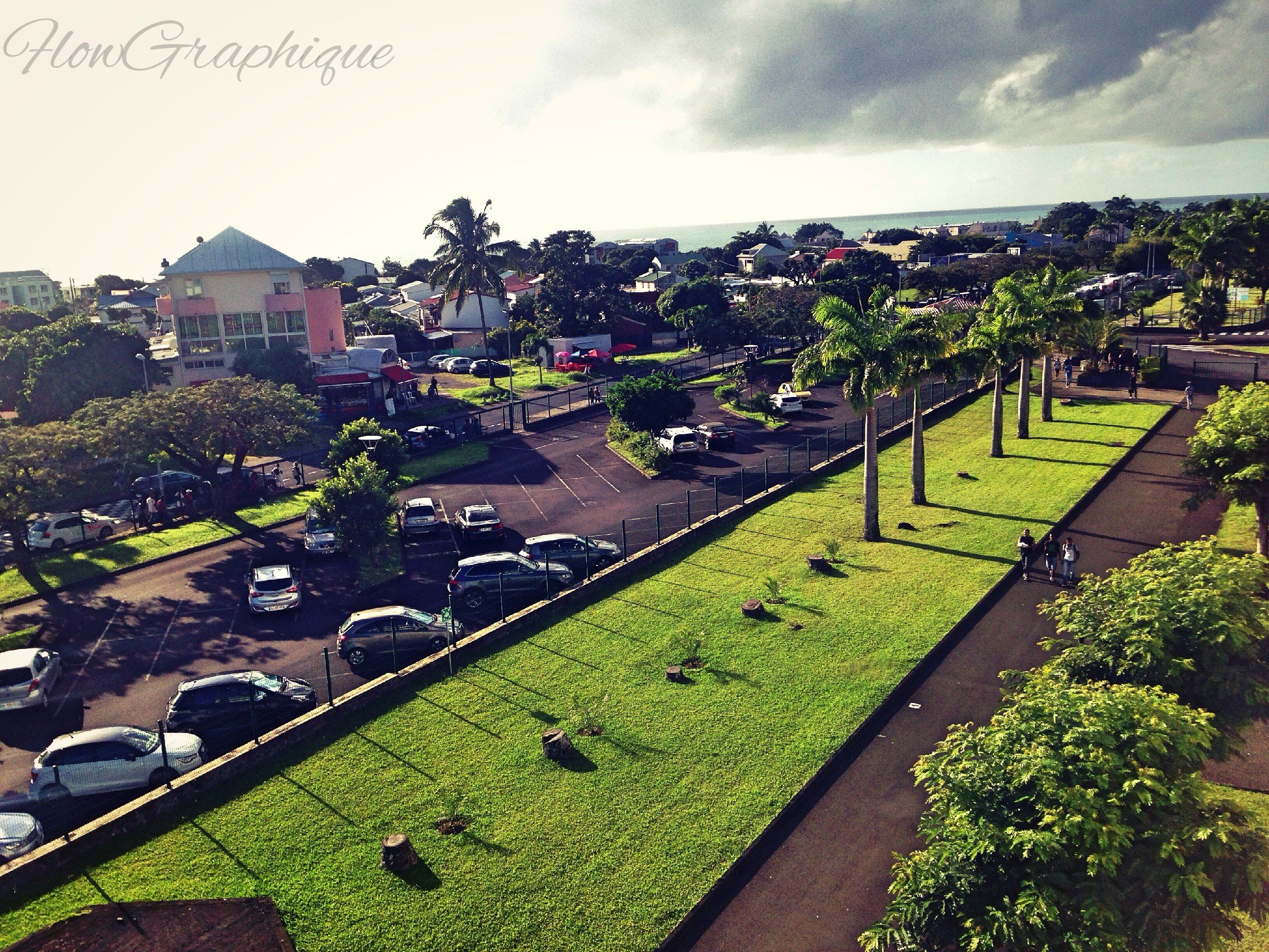 street, Palm trees, Road Wallpaper