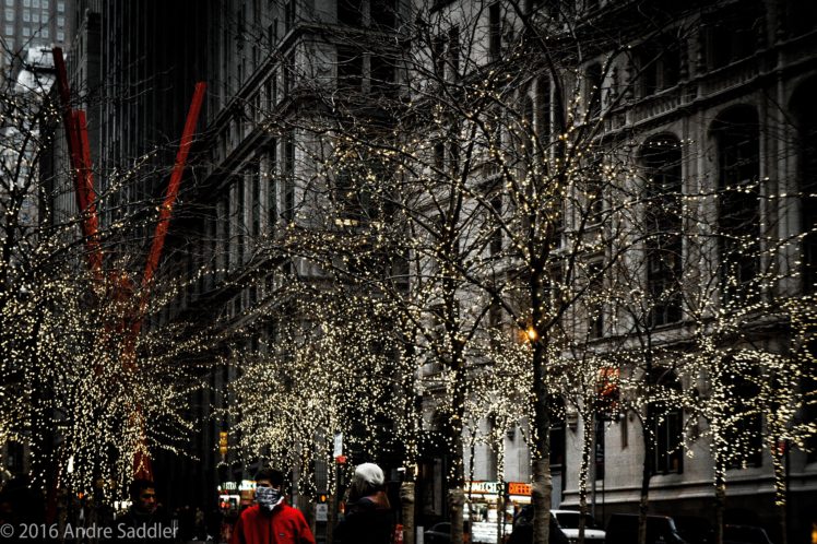 New York City, Zuccotti Park, Trees HD Wallpaper Desktop Background