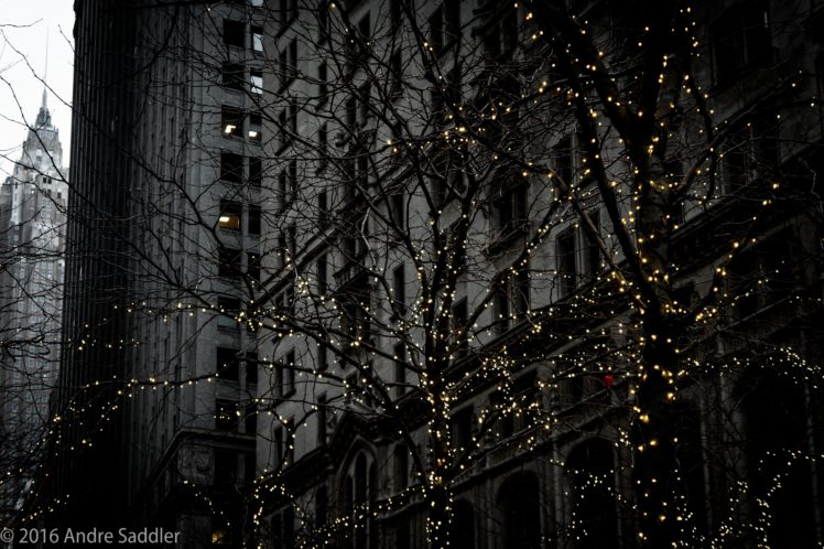 Zuccotti Park, New York City, Trees HD Wallpaper Desktop Background