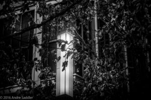 monochrome, Lamp, Window, Dead trees