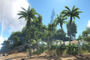 video games, Palm trees, Coast