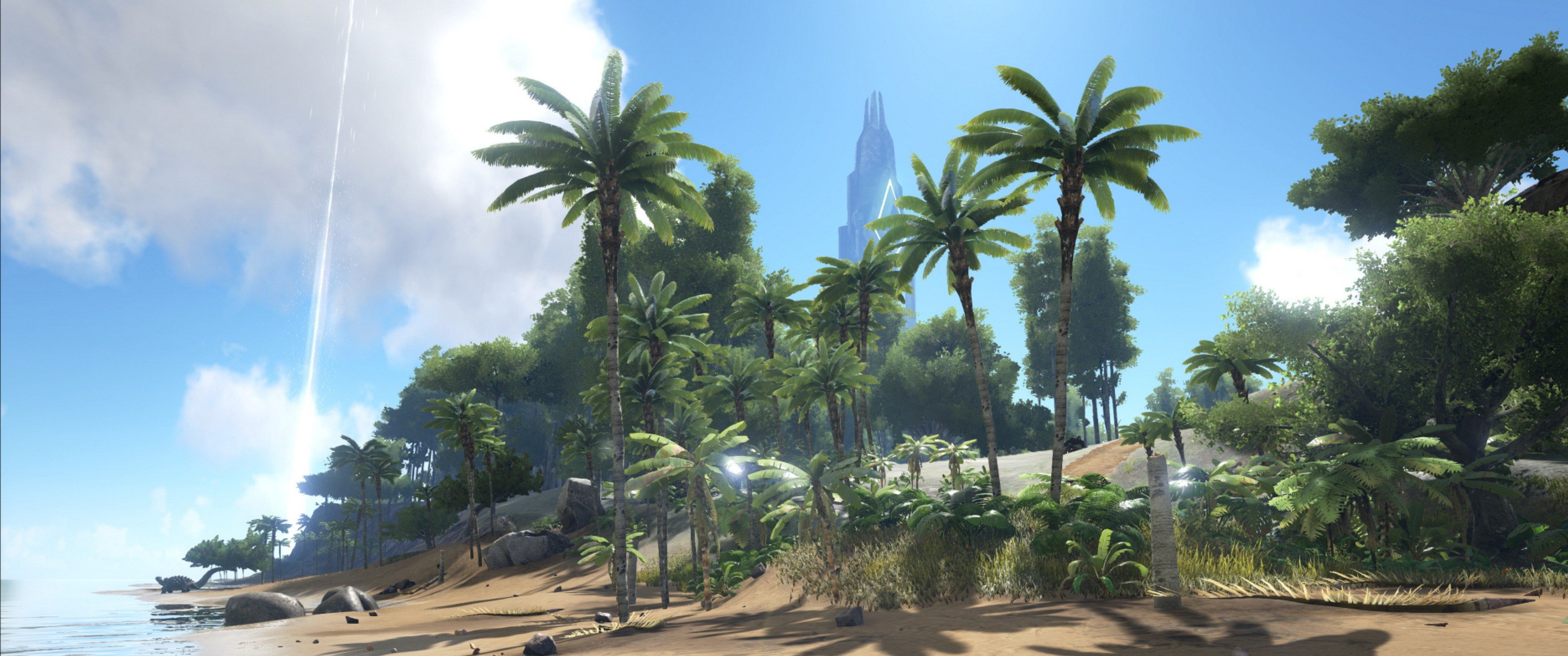 video games, Palm trees, Coast Wallpaper