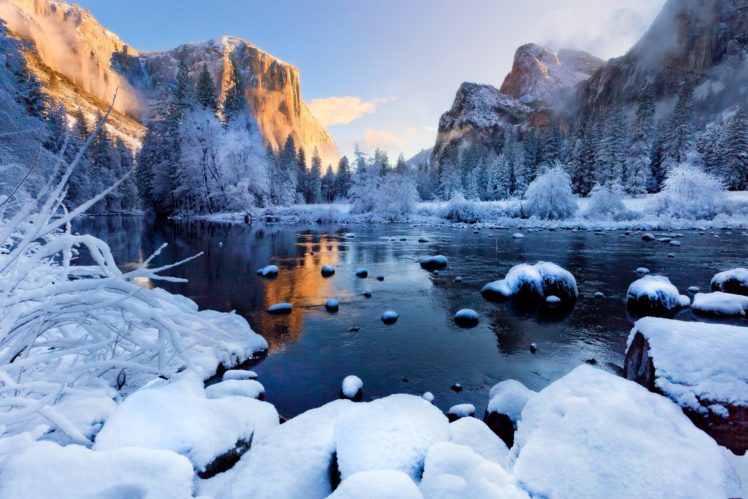 water, Snow, Trees HD Wallpaper Desktop Background