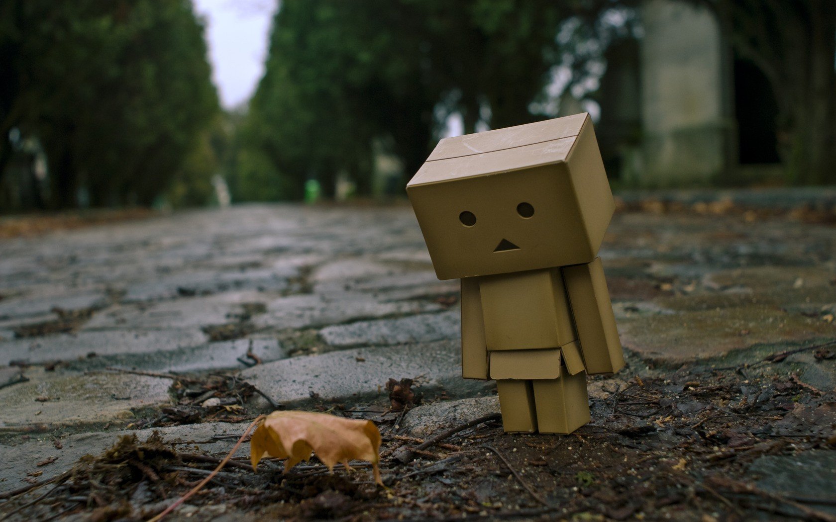 Danbo Wallpaper