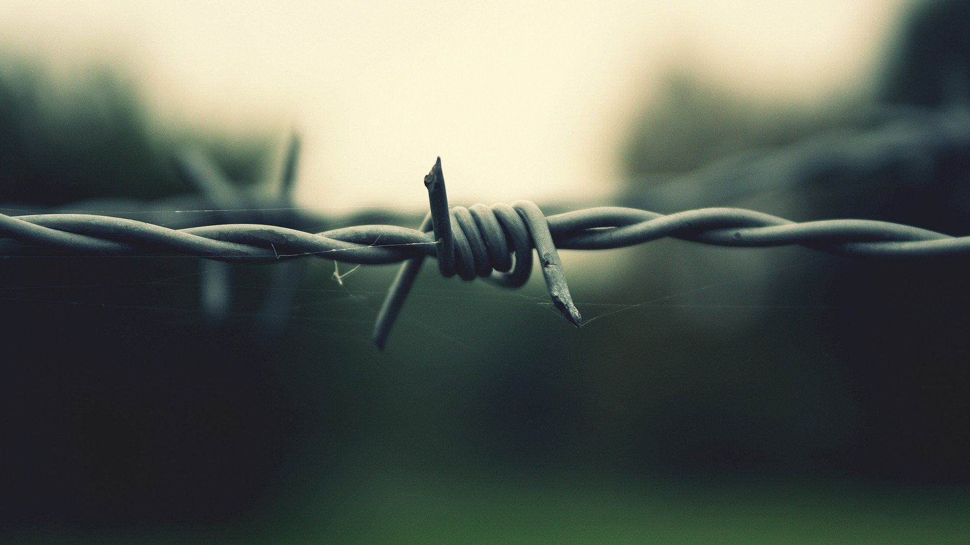 wire, Depth of field, Barbed wire Wallpaper