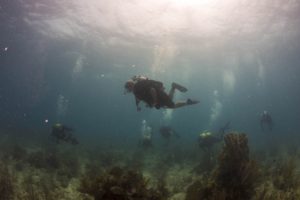 underwater, Group of people, Divers