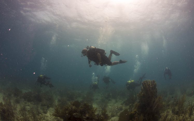 underwater, Group of people, Divers HD Wallpaper Desktop Background
