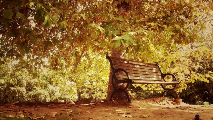 fall, Seasons, Leaves, Trees, Dirt HD Wallpaper Desktop Background