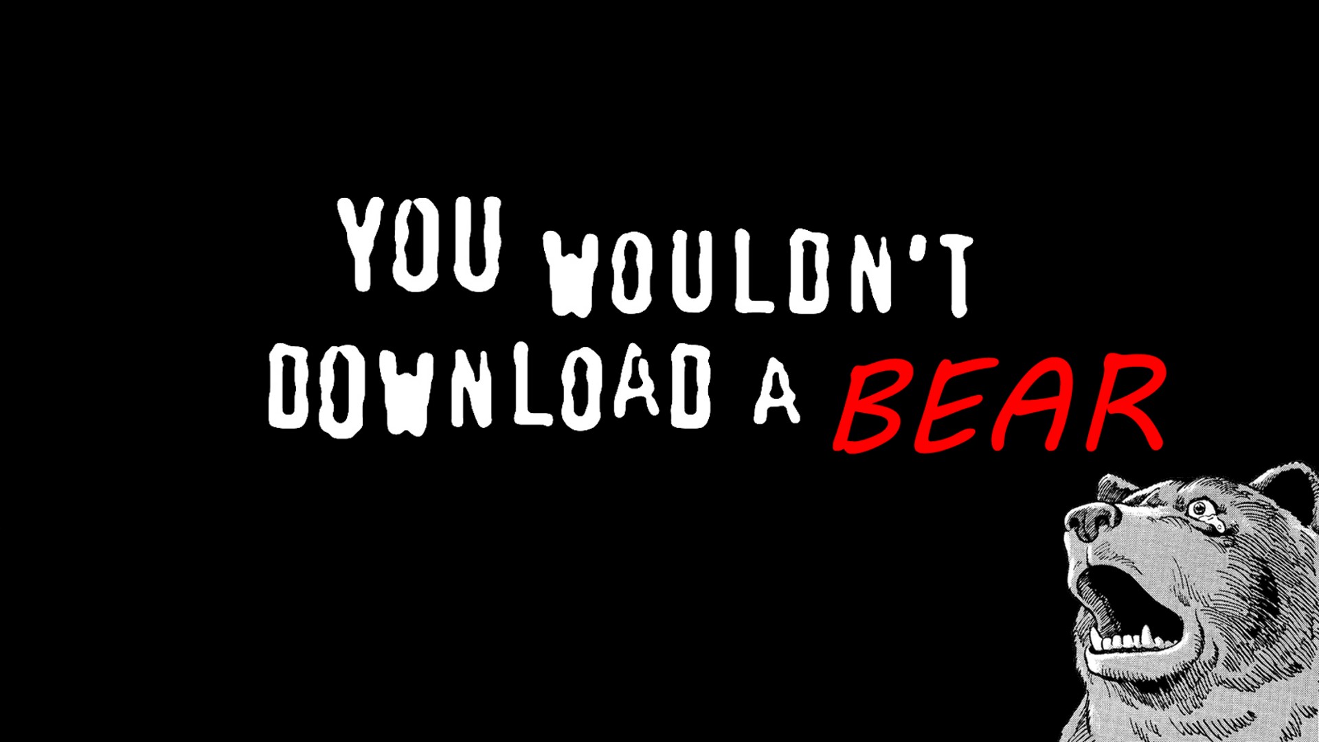 memes, Bears Wallpaper