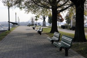 bench, Trees