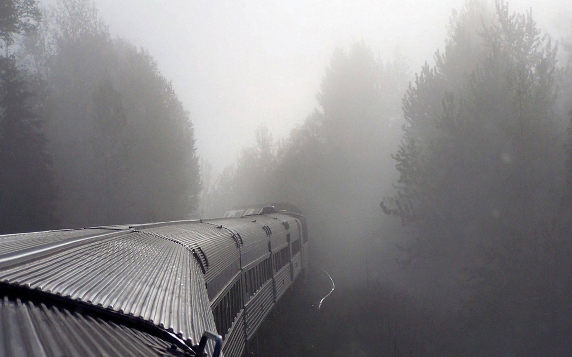 mist, Train Wallpaper