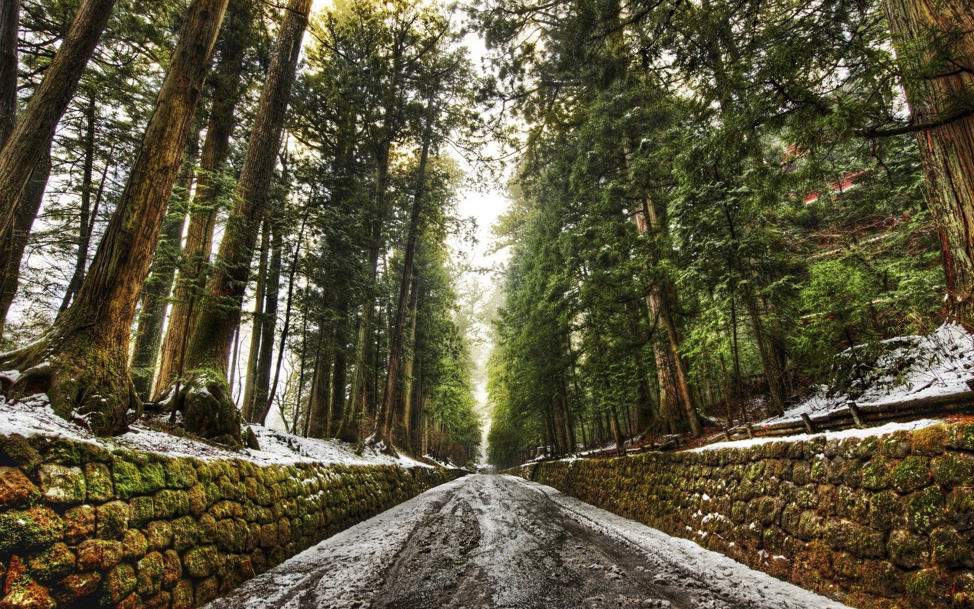 road, Snow, Walls Wallpaper