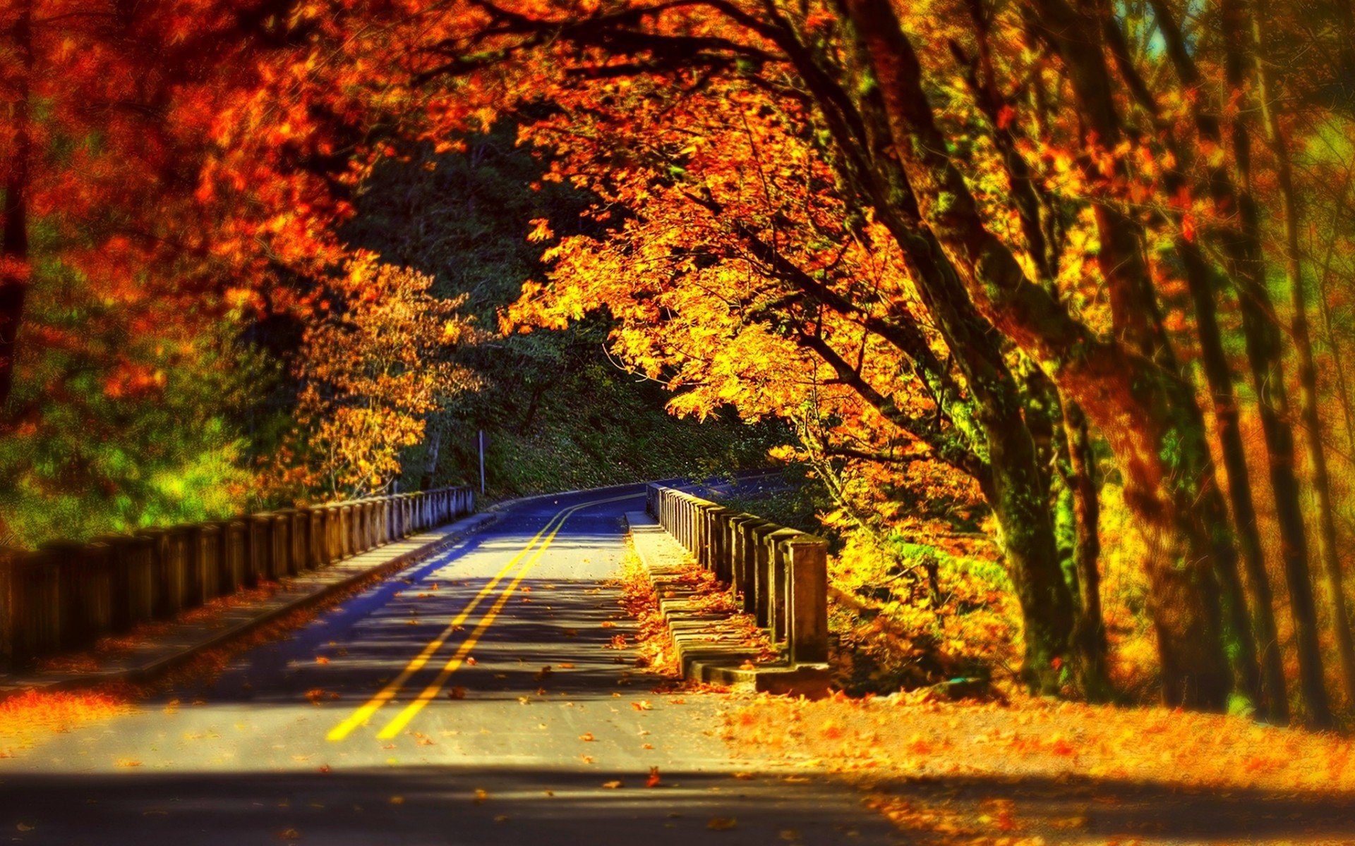 road, Fall, Bridge Wallpapers HD / Desktop and Mobile Backgrounds