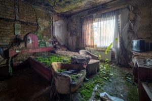 ruin, Indoors, Overgrown, House, Bed