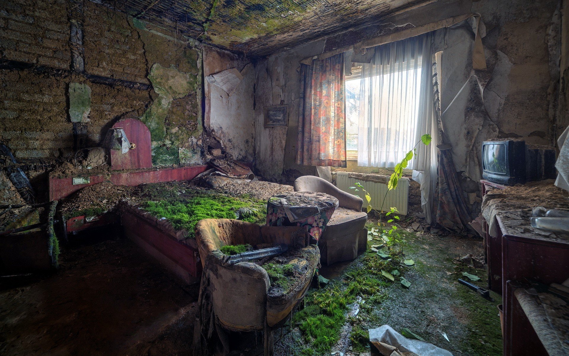 ruin, Indoors, Overgrown, House, Bed Wallpaper