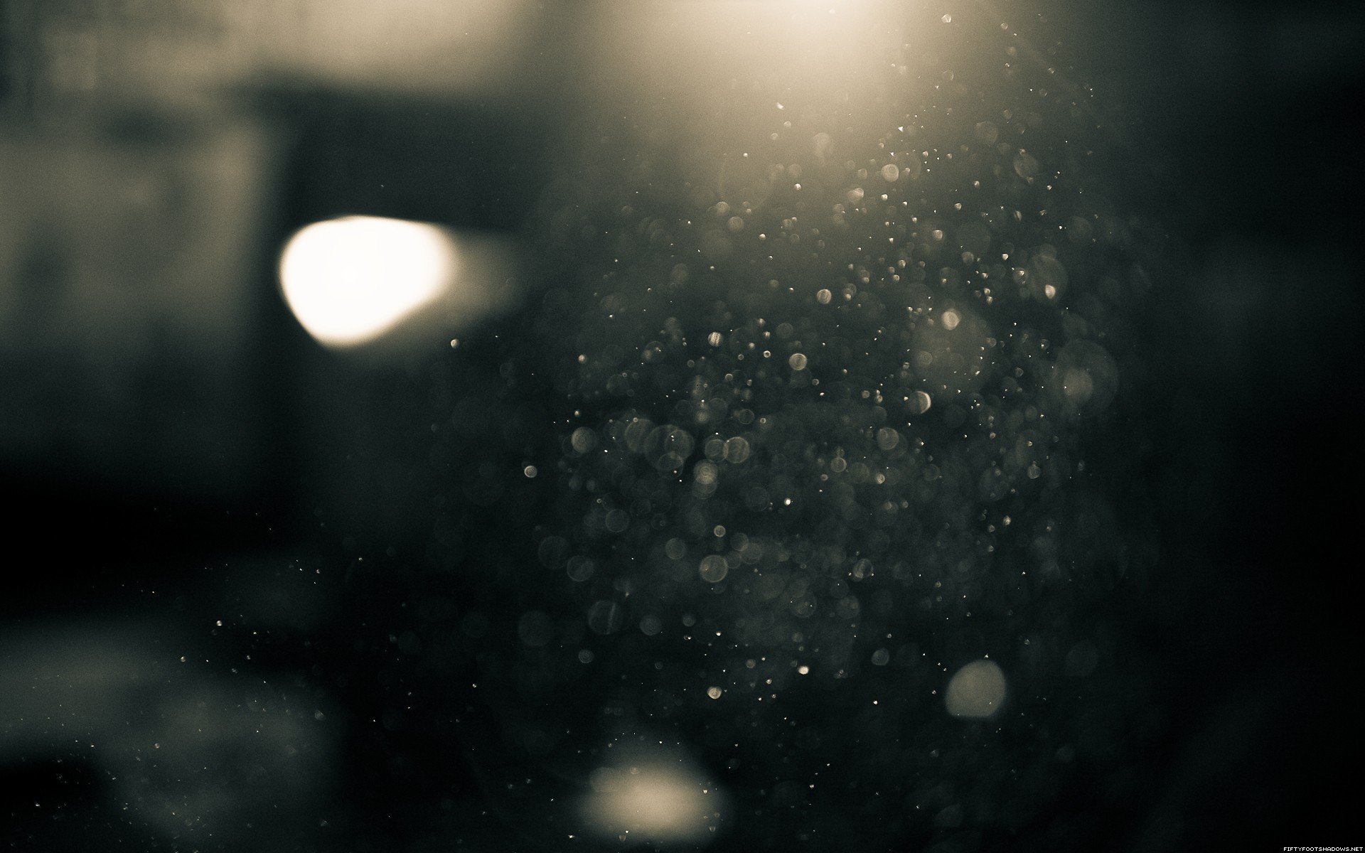 macro, Water drops Wallpaper