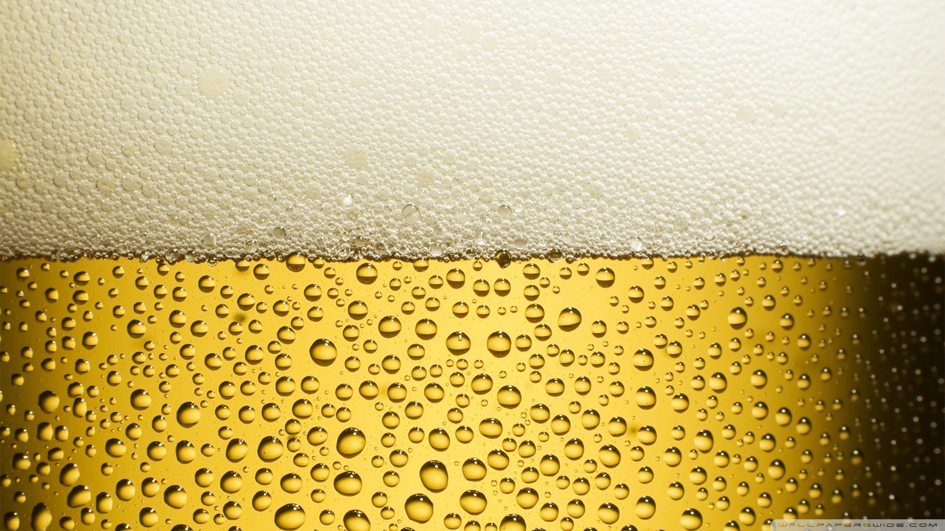 beer, Alcohol Wallpaper