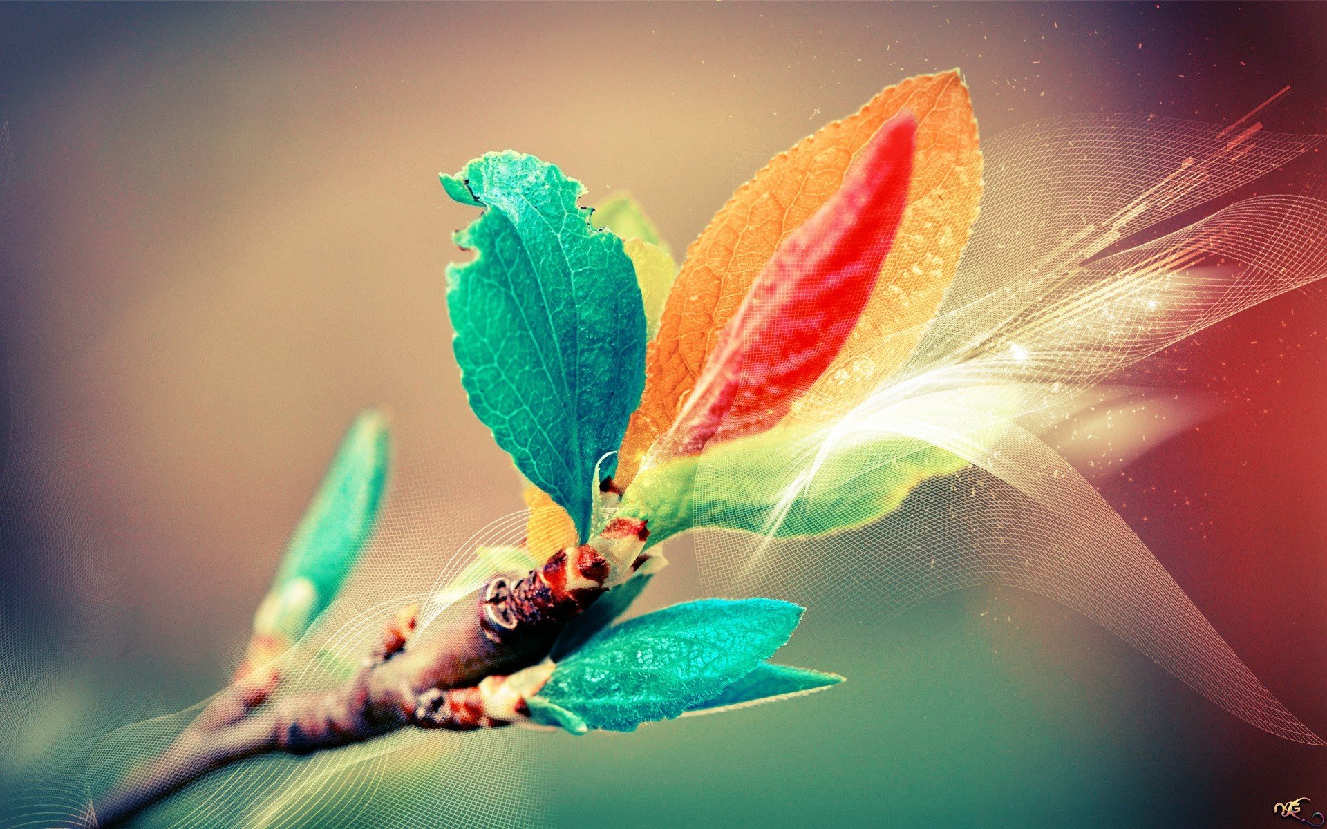 leaves, Macro, Colorful Wallpaper