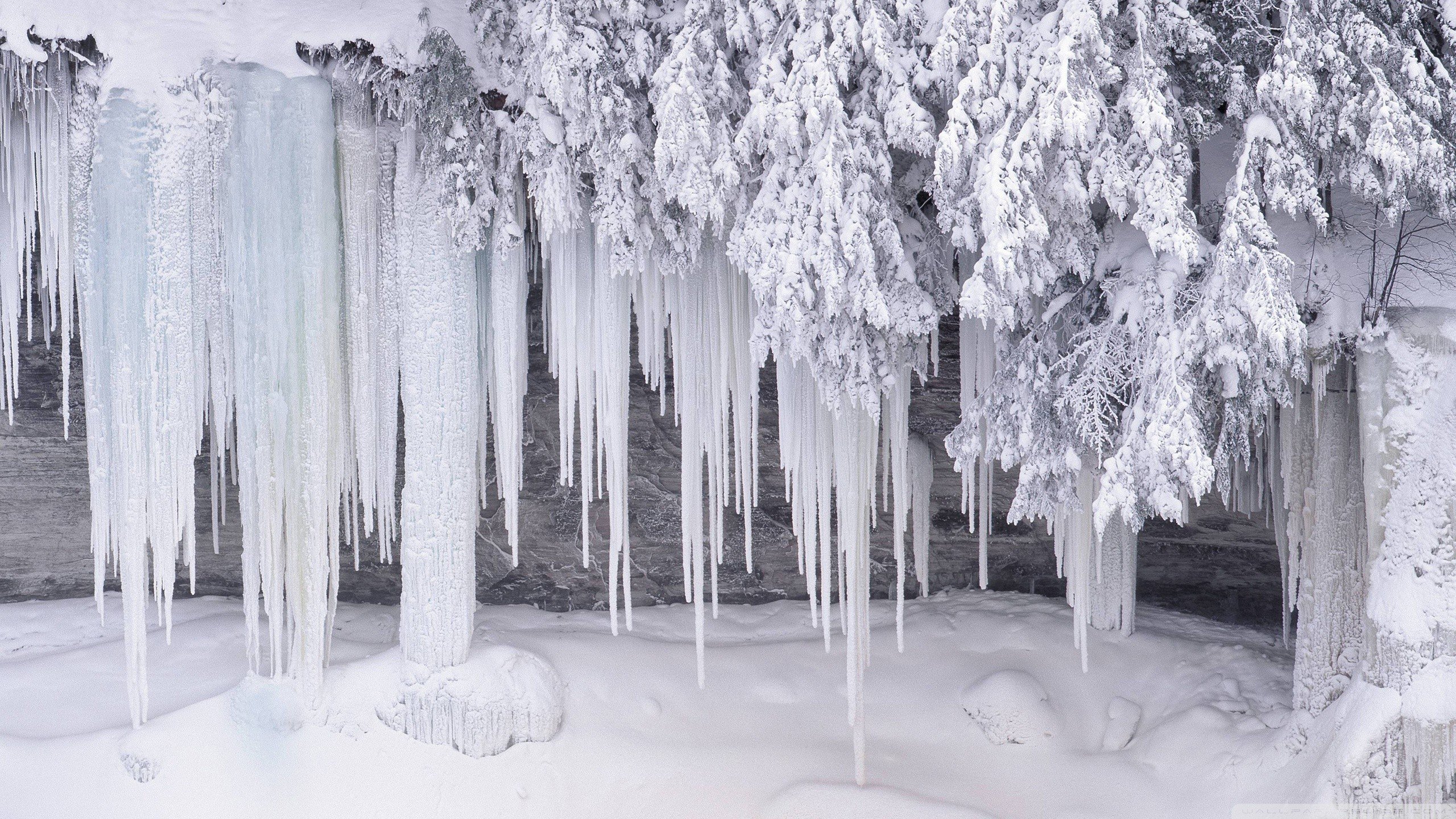 ice, Snow, Cold Wallpaper