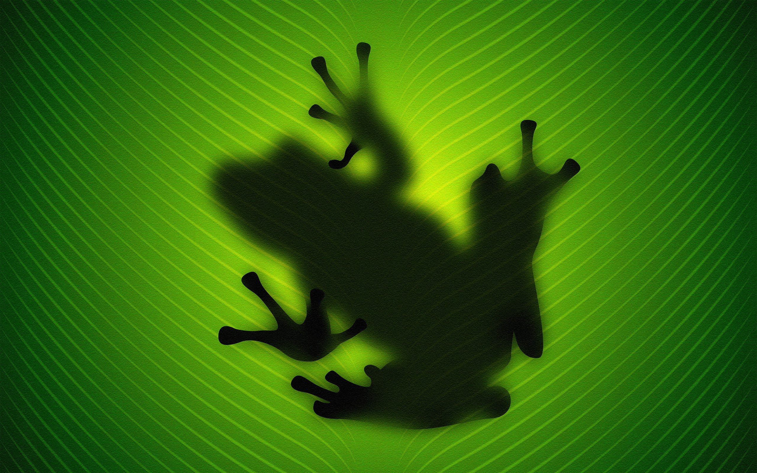 leaves, Frog, Silhouette Wallpaper
