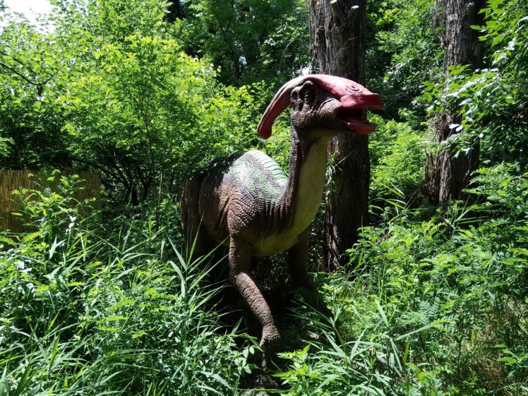 dinosaurs, Creature, Parasaurus HD Wallpaper Desktop Background