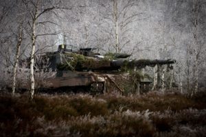 Leopard 2, Bundeswehr, Swamp