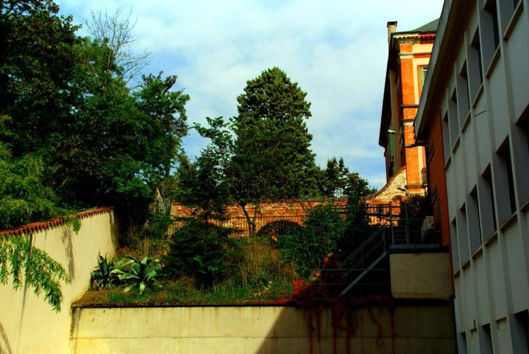 Albi HD Wallpaper Desktop Background