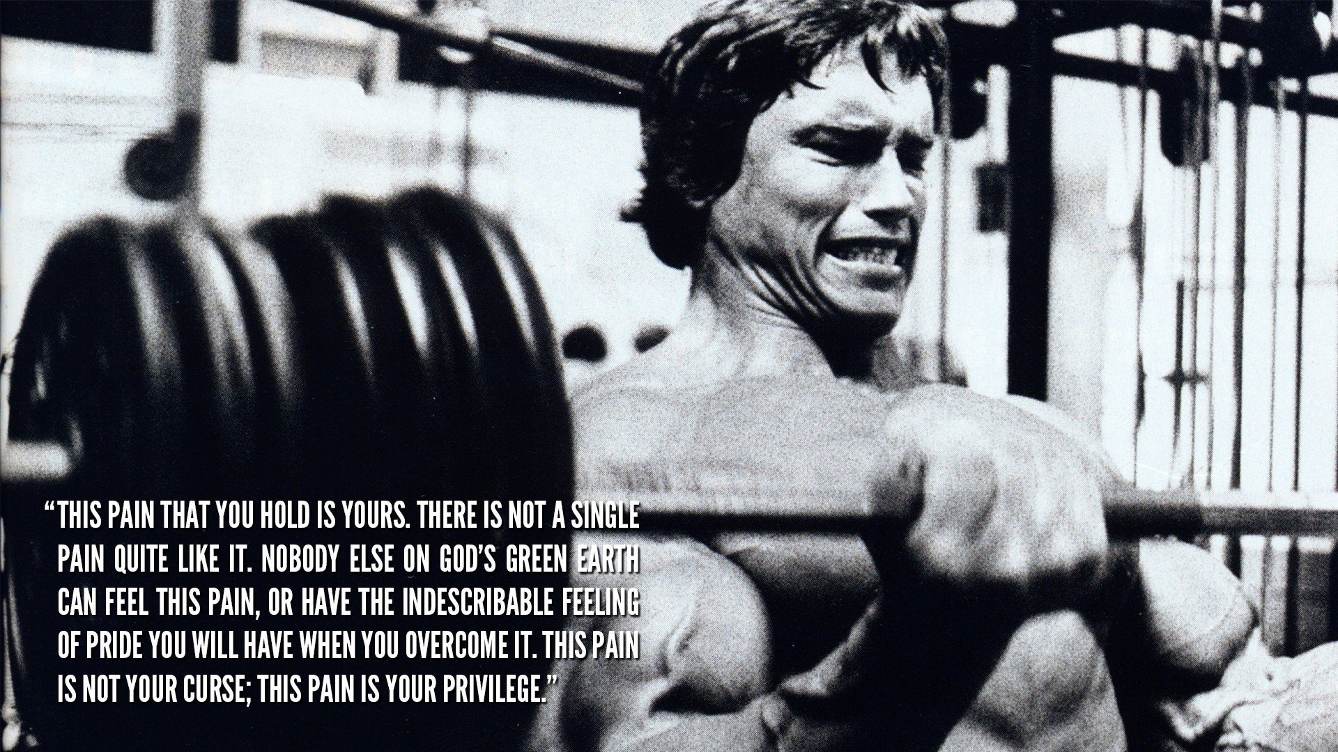 Arnold Schwarzenegger, Bodybuilder, Bodybuilding Wallpaper