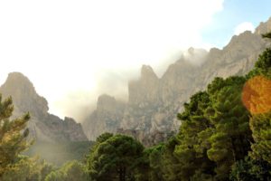 canyon, Trees, Cliff, Mist, Corsica