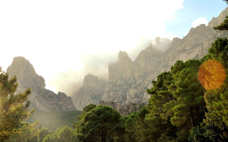 canyon, Trees, Cliff, Mist, Corsica HD Wallpaper Desktop Background