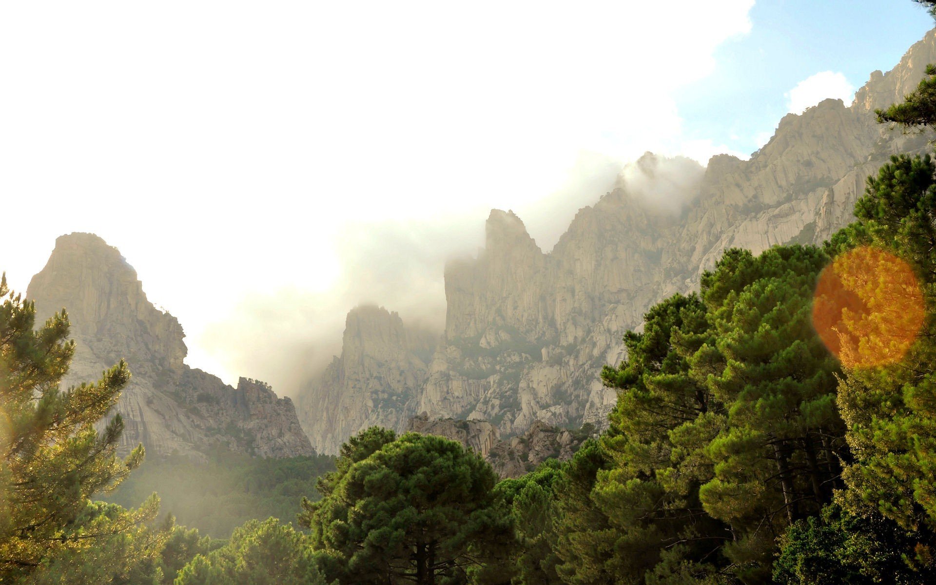 canyon, Trees, Cliff, Mist, Corsica Wallpaper