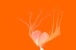 hearts, Orange background