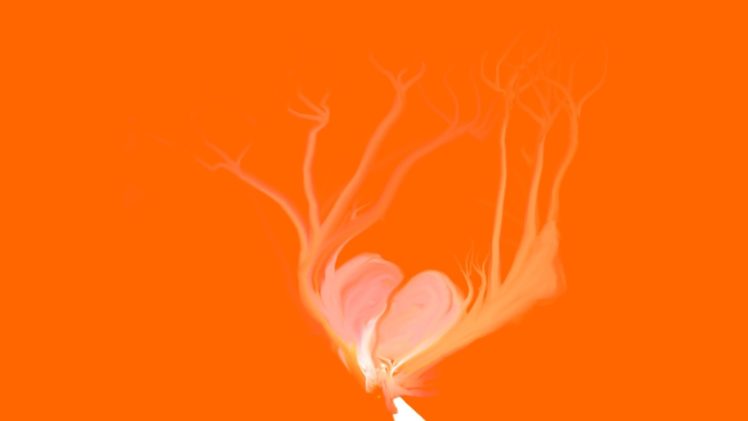 hearts, Orange background HD Wallpaper Desktop Background