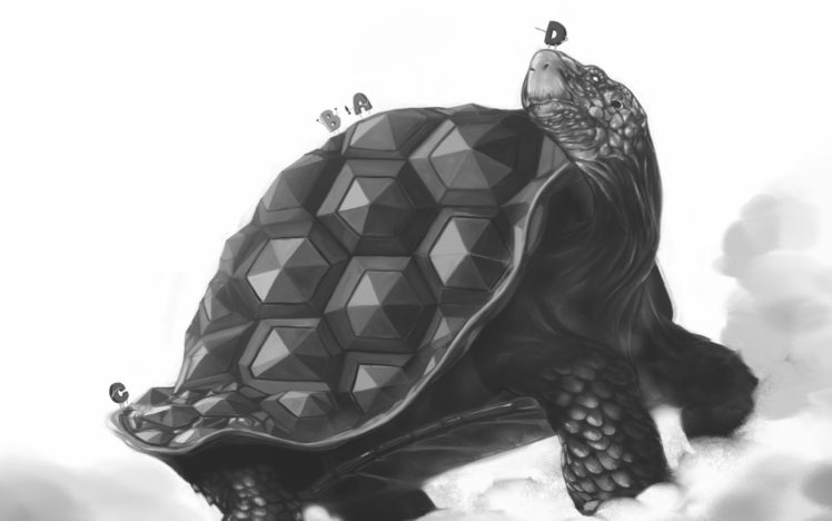 turtle HD Wallpaper Desktop Background