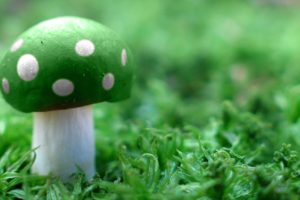Super Mario, Mushroom, Green