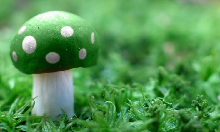 Super Mario, Mushroom, Green HD Wallpaper Desktop Background