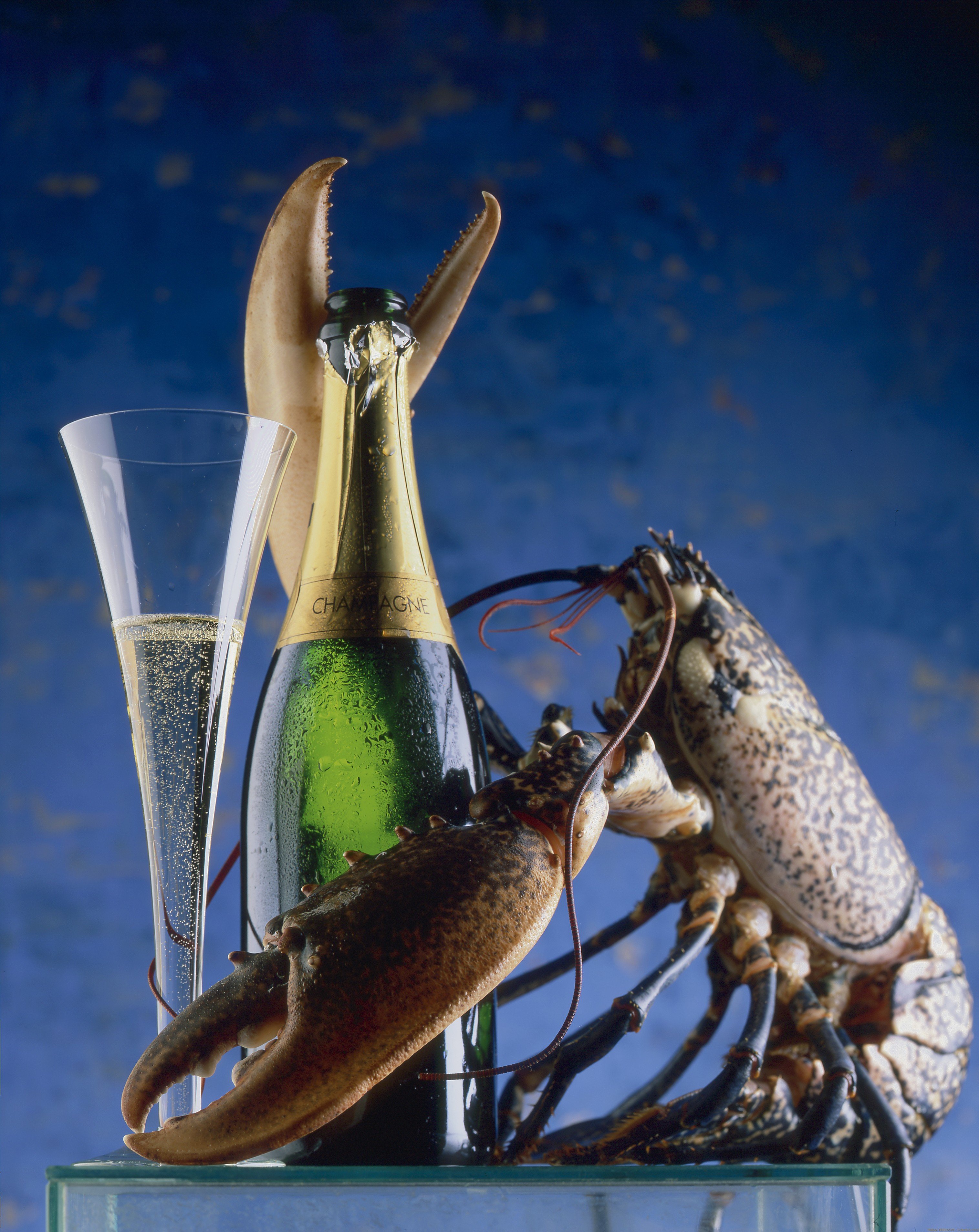 lobsters, Crustaceans, Champagne Wallpaper