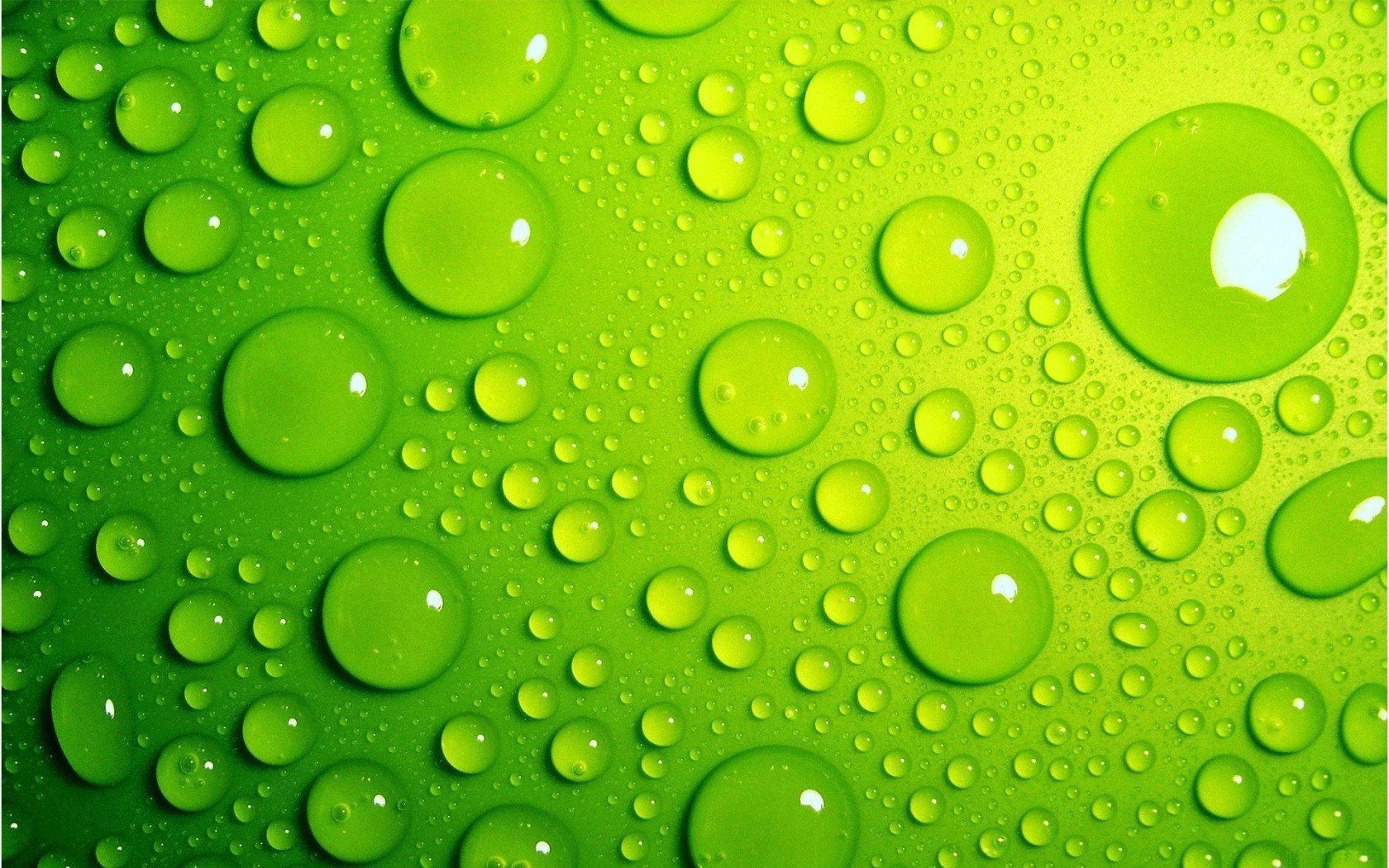 macro, Water drops, Green Wallpaper