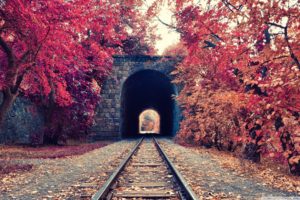 fall, Tunnel, Railway, Trees, Armenia
