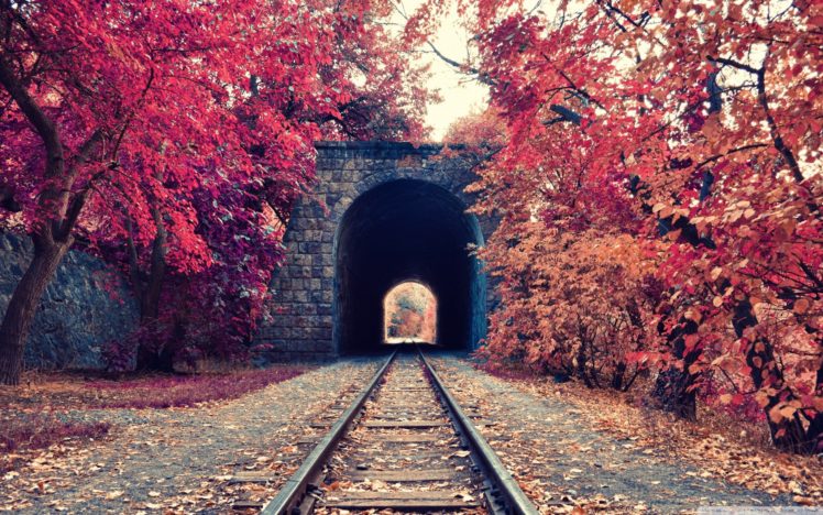 fall, Tunnel, Railway, Trees, Armenia HD Wallpaper Desktop Background