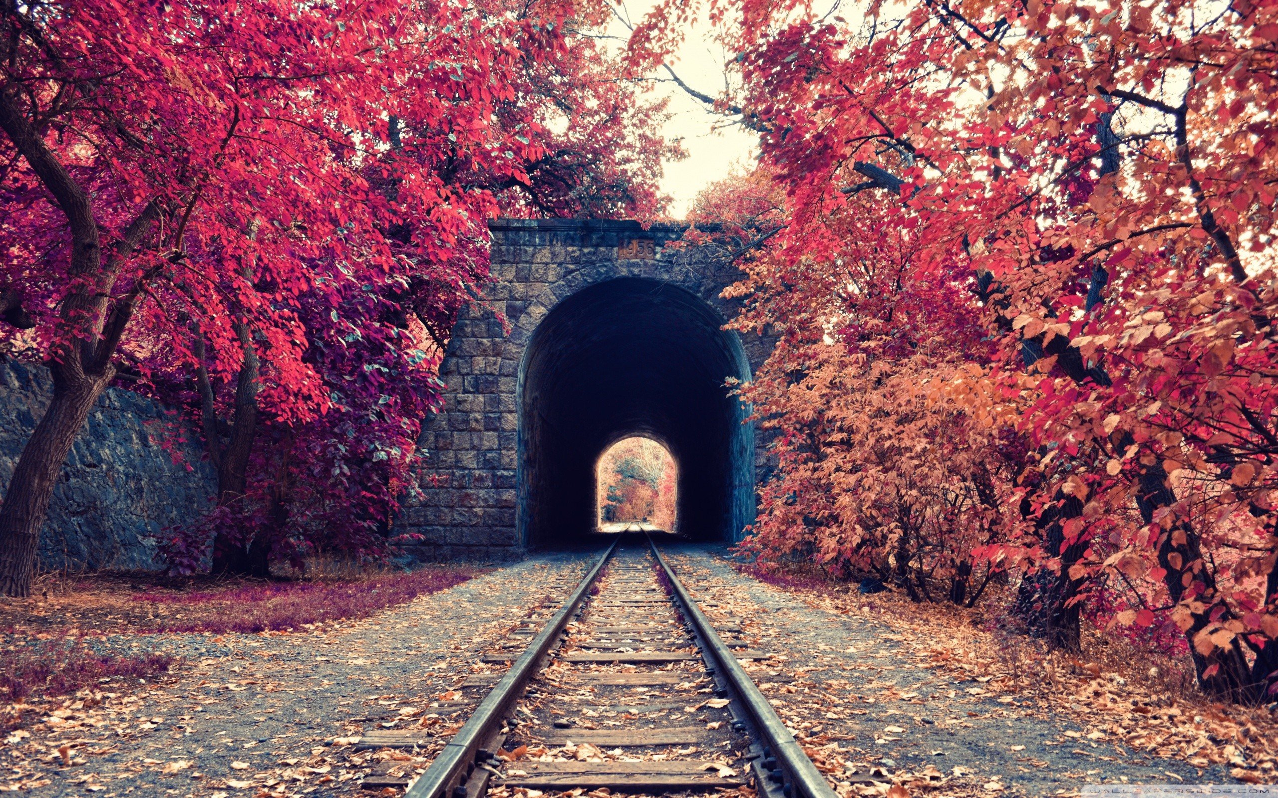 fall, Tunnel, Railway, Trees, Armenia Wallpaper