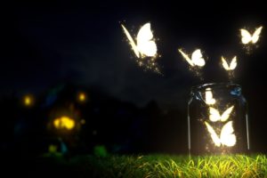 butterfly, Night, Lights