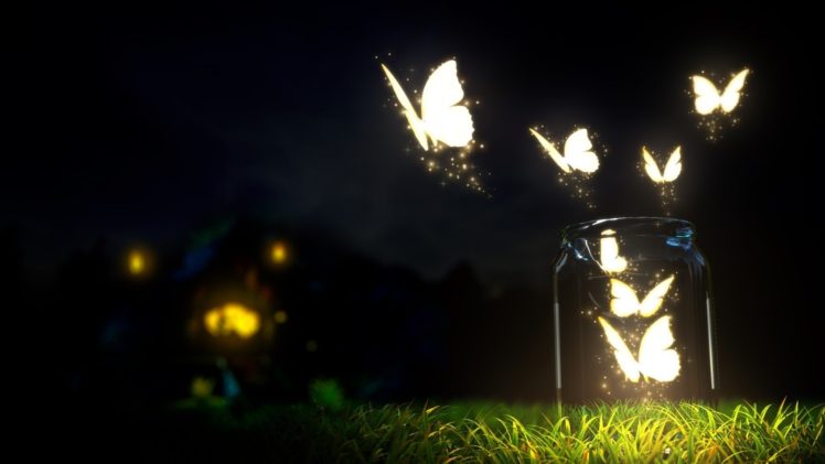butterfly, Night, Lights HD Wallpaper Desktop Background