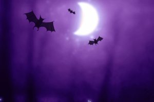 Halloween, Night, Bats
